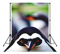 Cute Penguin Head Print Photo Studio Background 5x7ft Soft Photo Backdrop Curtain For Studio Content Creator Equipment