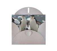 Cute Penguin Pattern Blank Greeting Cards For Birthdays, Valentine'S Day, Parties, Weddings, 4x6 Inches Gray Envelope
