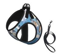 Cute Penguin Print Step in Dog Harness and Leash Set,Mesh Pet Vest Harness for Small Dogs and Cats
