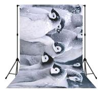 Cute Penguin1 Print Backdrop For Photoshoot, Photo Backdrop Background Curtain For Photography Portraits(No Stand)