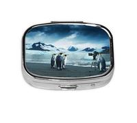 Cute Penguins Taking Pictures Print Pill Box 2 Compartment Medicine Pill Case,Portable for Pocket Or Purse Pill Box Decorative Metal Medicine Organizer