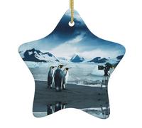 Cute Penguins Taking Pictures Printing Christmas Tree Ornaments Style, Ceramic Star With String For Decor, Verse Ceramic Star Ornament