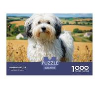 Cute Pet Dog 1000 Pc Adult Jigsaws - Fluffy White-brown Dog in Rural Field Impossible Hard Difficult Challenging Game for Wall Decoration And Gifts70x50cm/1000pcs