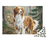 Cute Pet Dog 1000 Piece Jigsaw PuzzleSpaniel Path Stance - Recycled Cardboard Decoration38x26cm/1000pcs