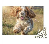 Cute Pet Dog 1000 Pieces Jigsaw Puzzles Engaging Educational Games Cocker Spaniel in Field Jigsaw Puzzles Unique Puzzle Gift for Gifts 70x50cm/1000pcs