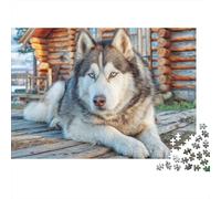 Cute Pet Dog 1000 Pieces Jigsaw Puzzles Engaging Educational Games Husky on Cabin Porch Jigsaw Puzzle Home Decoration for Gifts 38x26cm/1000pcs
