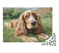 Cute Pet Dog 1000 Pieces Jigsaw Puzzles Engaging Home Decoration Cocker Spaniel on Grass Jigsaw Puzzles Beautiful Decoration for Adults & Families 52x38cm/1000pcs