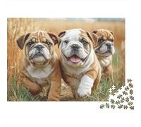Cute Pet Dog 1000 Pieces Jigsaw Puzzles Engaging Home Decoration Three Bulldogs Running Jigsaw Puzzle Unique Puzzle Gift for Adults & Families 38x26cm/1000pcs