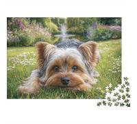Cute Pet Dog 1000 Pieces Jigsaw Puzzles Engaging Home Decoration Yorkie in Grass Jigsaw Puzzles Beautiful Decoration for Adults & Families 52x38cm/1000pcs