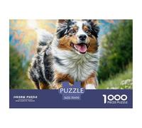 Cute Pet Dog 1000 Pieces Puzzle for Home Wall Decor -Aussie Shepherd Running Meadow Fun Present & Activity for Adults Kids Great Gift Idea70x50cm/1000pcs