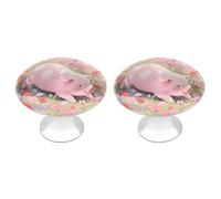 Cute Pig Cabinet Knobs, 2-Pack Silver Stainless Steel Drawer Pulls with Screws, Elegant Hardware for Dressers, Kitchen,Cabinets & Desks