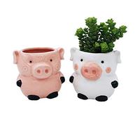 Cute Pig Planter Kitchen Pig Decor 2 Pack Ceramic Succulent Flower Pots with Drainage Hole, Office Décor