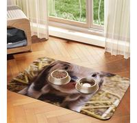 Cute Pig print Cats Pet Bowl Placemat Pet Feeding Mats for Dogs, Non-Slip PU Leather Tablecloth for Pets