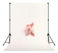 Cute Pig Print Photo Studio Background 5x7ft Soft Photo Backdrop Curtain For Studio Content Creator Equipment