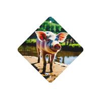 Cute Pig Printing 10 Pcs Car Air Fresheners Cards For Scented Hanging Sheets For Bathroom With Rope