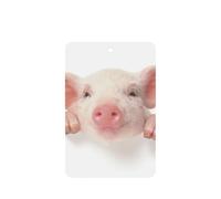 Cute Pig Printing Fashion Car Air Freshener Cards 10 Pcs Car Scented Hanging Sheets