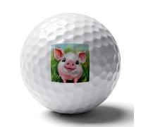 Cute Pigs on The Grass Personalized Golf Balls Gifts for Men Golfers Distance Straighter Shots