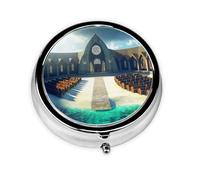 Cute Pill Organizer - AM PM Pill Box, Small & Large Travel Pill Case, Unique Custom Design, Iron Plating, Perfect for Purse and On-The-Go Pew