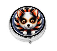 Cute Pill Organizer - Unique Custom Design, Travel-Friendly Medicine Box, 1 Day AM PM Pill Case, Small & Portable Pill Dispenser for Daily Use Cute Raccoon Dog