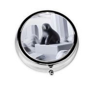 Cute Pill Organizer - Unique Custom Design, Travel-Friendly Medicine Box, 1 Day AM PM Pill Case, Small & Portable Pill Dispenser for Daily Use Inuit Statue