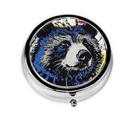 Cute Pill Organizer - Unique Custom Design, Travel-Friendly Medicine Box, 1 Day AM PM Pill Case, Small & Portable Pill Dispenser for Daily Use Colored Raccoon