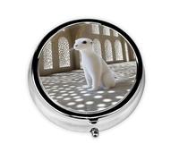 Cute Pill Organizer - Unique Custom Design, Travel-Friendly Medicine Box, 1 Day AM PM Pill Case, Small & Portable Pill Dispenser for Daily Use Sables in The Desert Palace