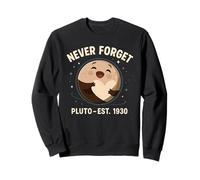 Cute Pluto Planet Hug Never Forget Est 1930 Astronomy Humor Sweatshirt
