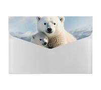 Cute Polar Bear Folder Water-Resistant Accordion Files Organizer Moisture-Proof Expanding File Folder Pockets Reusable Clear File Folders Files Bags Document Holder