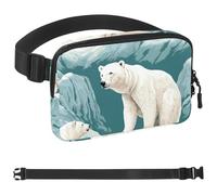 Cute Polar Bear on Iceberg-1605 Unisex Style Fanny Pack: Fashion Waist Packs, Crossbody Bags Sport Slim Fashionable for Jogging Hiking Hiker Woman Man, Multicolor, 1.5x9.0x5.9in/4x23x15cm