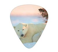 Cute Polar Bears Guitar Picks 12 Pcs Classical Triangle Guitar Plectrums Includes Thin, Medium & Heavy Gauges 3 Sizes for Bass Electric Acoustic Guitars Ukulele with Organizer Storage Box