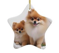 Cute pomeranian Christmas Ceramic Star Ornament with Hanging Ribbon, Holiday Hanging Decoration for Tree & Home