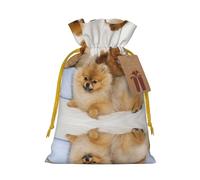 Cute Pomeranian Christmas Drawstring Sack Gift Bag, Lightweight And Cute In Design