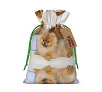 Cute Pomeranian Christmas Drawstring Sack Gift Bag, Lightweight And Cute In Design