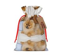 Cute Pomeranian Christmas Drawstring Sack Gift Bag, Lightweight And Cute In Design