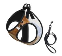 Cute Pomeranian Compact Pet Suspender Vest-The Perfect Small Pet For A Comfortable Walk