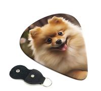 Cute Pomeranian Dog 6 Pack Guitar Picks With Holder, Personalized Guitar Plectrums Non-Slip Portable Ukulele Bass Picks 0.46mm For Acoustic Guitar Lovers Gifts