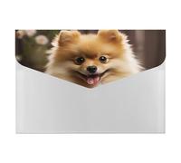 Cute Pomeranian Dog Accordion File Organizer 6 Pocket Document Organizer Expanding File Folder Accordion Folder with Labels, Travel Document Folders Plastic Envelopes with Snap Closure 13x9.1 Inch