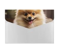 Cute Pomeranian Dog Expanding File Folder 6 Pockets Accordion File Organizer Portable Letter A4 Size Folders with Snap Closure for Document Paper Receipt Office Supplies