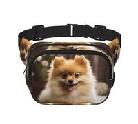 Cute Pomeranian Dog Fanny Pack For Women Waterproof Adjustable Belt Bags Waist Pack Fashion Casual Crossbody Bags Bum Bag For Running Workout Hiking Traveling, Black, One Size