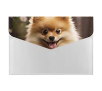 Cute Pomeranian Dog File Organizer for Office,6 Pockets Expanding File Folder, Portable Accordion Folders for Desktop, Waterproof Paper Bill Receipt Organizer for Business