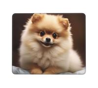 Cute Pomeranian Dog Mouse Pad Waterproof Gaming Mousepad for Office Computer Mousepads for Desk Pad with Non-Slip Rubber Base Washable Cloth Mouse Mat 7 x 8.6 in