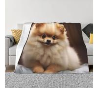 Cute Pomeranian Dog Print Micro Fleece Blanket Throw Blanket Ultra-Soft Fuzzy Blankets Light Weight Plush Blanket Warm Cozy Blanket for Living Room Bedroom Sofa 50"x40"