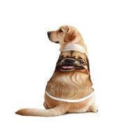 Cute Pomeranian Dog Shirt Vest Dog Clothes- Breathable Cooling for Big Dogs, Sun Protection Comfort Wear for Golden Retriever, Husky, Alaska Outdoor Activities 3X-Large