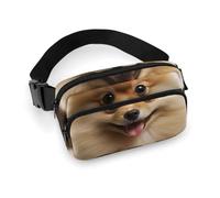 Cute Pomeranian Dog Waist Bag Fashion Fanny Bag with Adjustable Strap for Outdoor Workout Cycling Unisex, white, 20x13cm, Waist Bag