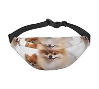 Cute pomeranian Fanny Pack for Men Women Crossbody Waist Bag Everywhere Belt Bag Wallet Hip Bum Bag with Adjustable Strap Casual Chest Bag for Outdoor Hiking Cycling, Black, One Size