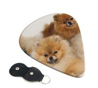 Cute Pomeranian Guitar Pickfor Pickups For Acoustic Electric Guitar Bass Ukulele