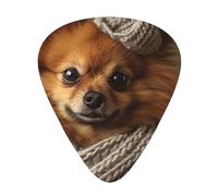 Cute Pomeranian - Guitar Picks-12 Pack Includes Thin, Medium & Heavy Gauges, Best Gift for Guitar Lovers
