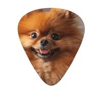 Cute Pomeranian - Guitar Picks-12 Pack Includes Thin, Medium & Heavy Gauges, Best Gift for Guitar Lovers