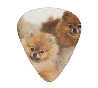Cute pomeranian Guitar Picks 12 Pcs Classical Triangle Guitar Plectrums Includes Thin, Medium & Heavy Gauges 3 Sizes for Bass Electric Acoustic Guitars Ukulele with Organizer Storage Box