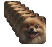 Cute Pomeranian Leather Coasters for Drinks Set of 6 Heat Resistant Bar Coaster Square Cup Mat Pad Cute Cup Coaster for Home Decor Gifts